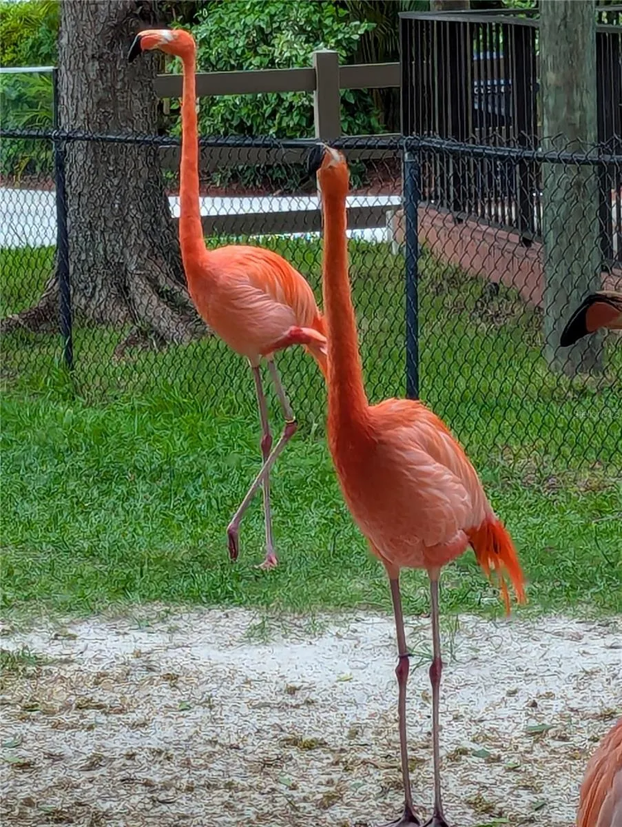 Visit Jungle Gardens, it's full of adventures.