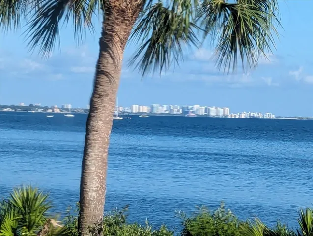 Beautiful Sarasota Bay!