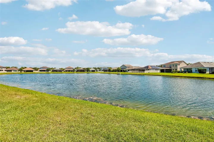 View of pond