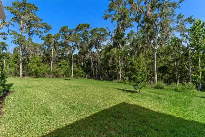 Stunning Rear Yard View