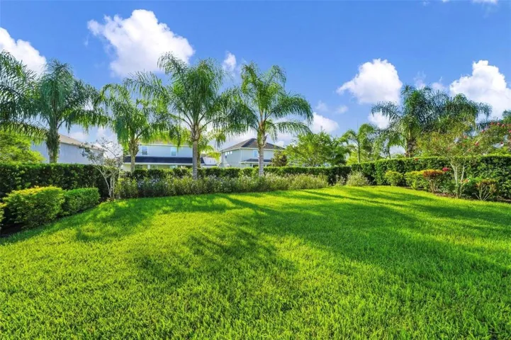 Expansive Backyard