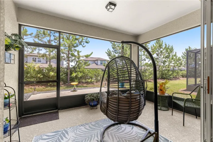 Screen porch and patio