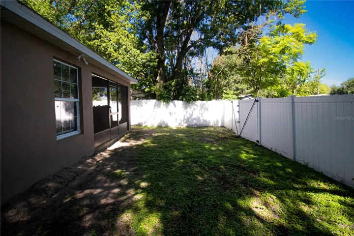 Backyard