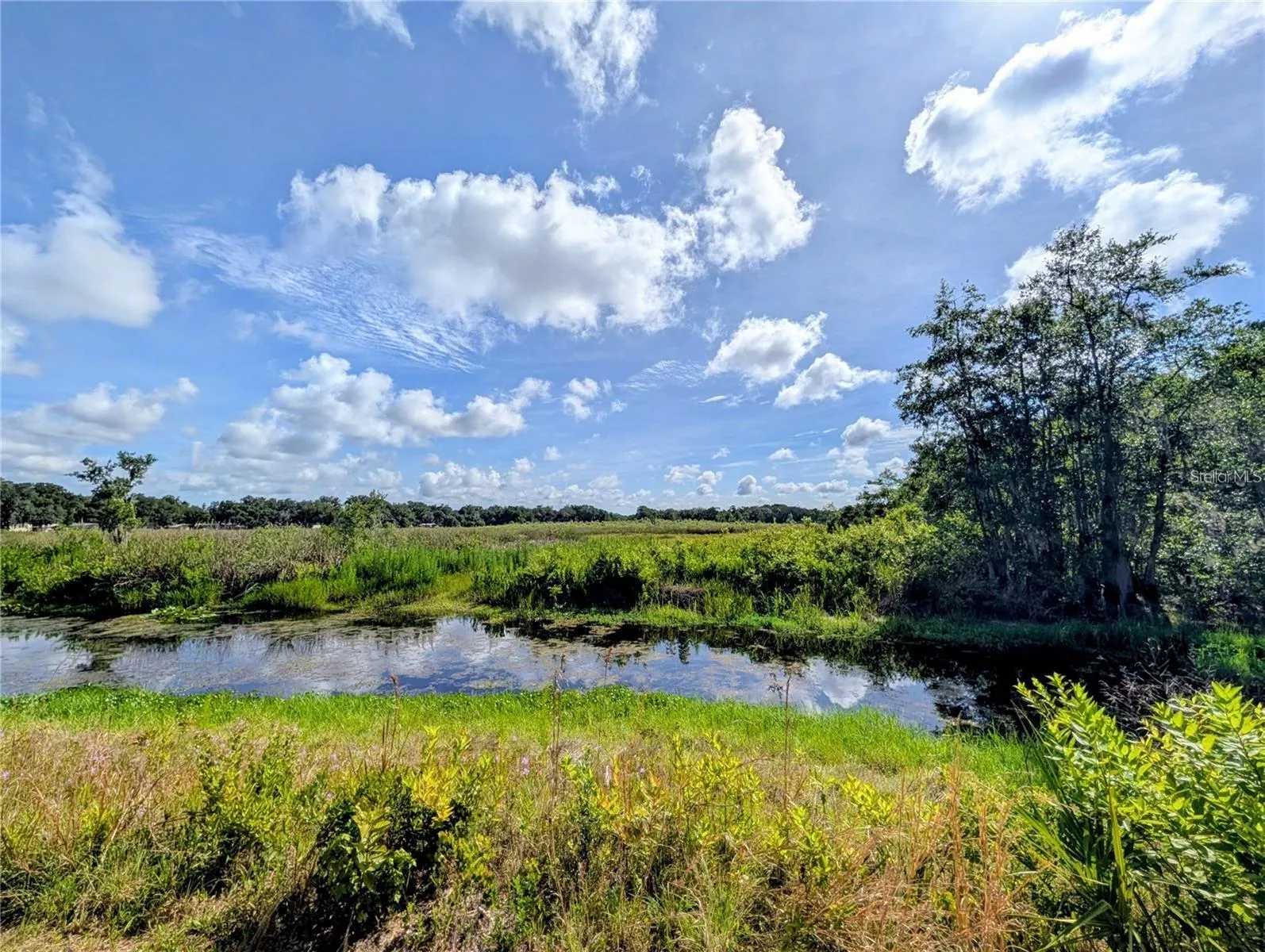 Low water in dry month of June separates island of near 20 acres from mainland.