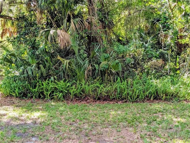 4 / 12The land immediately in front of bridge has vegetation that has grown up in front. Can easily be cleared.