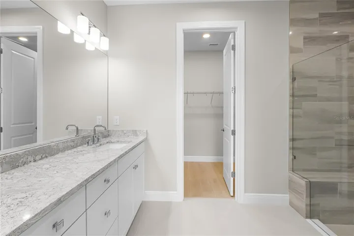 Owner's Bath