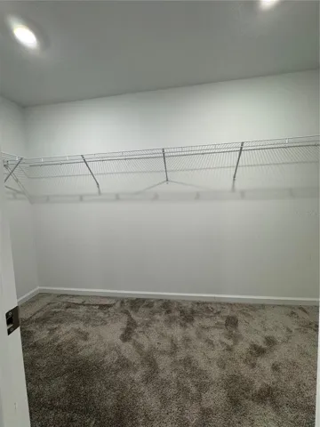 Master Walk in closet