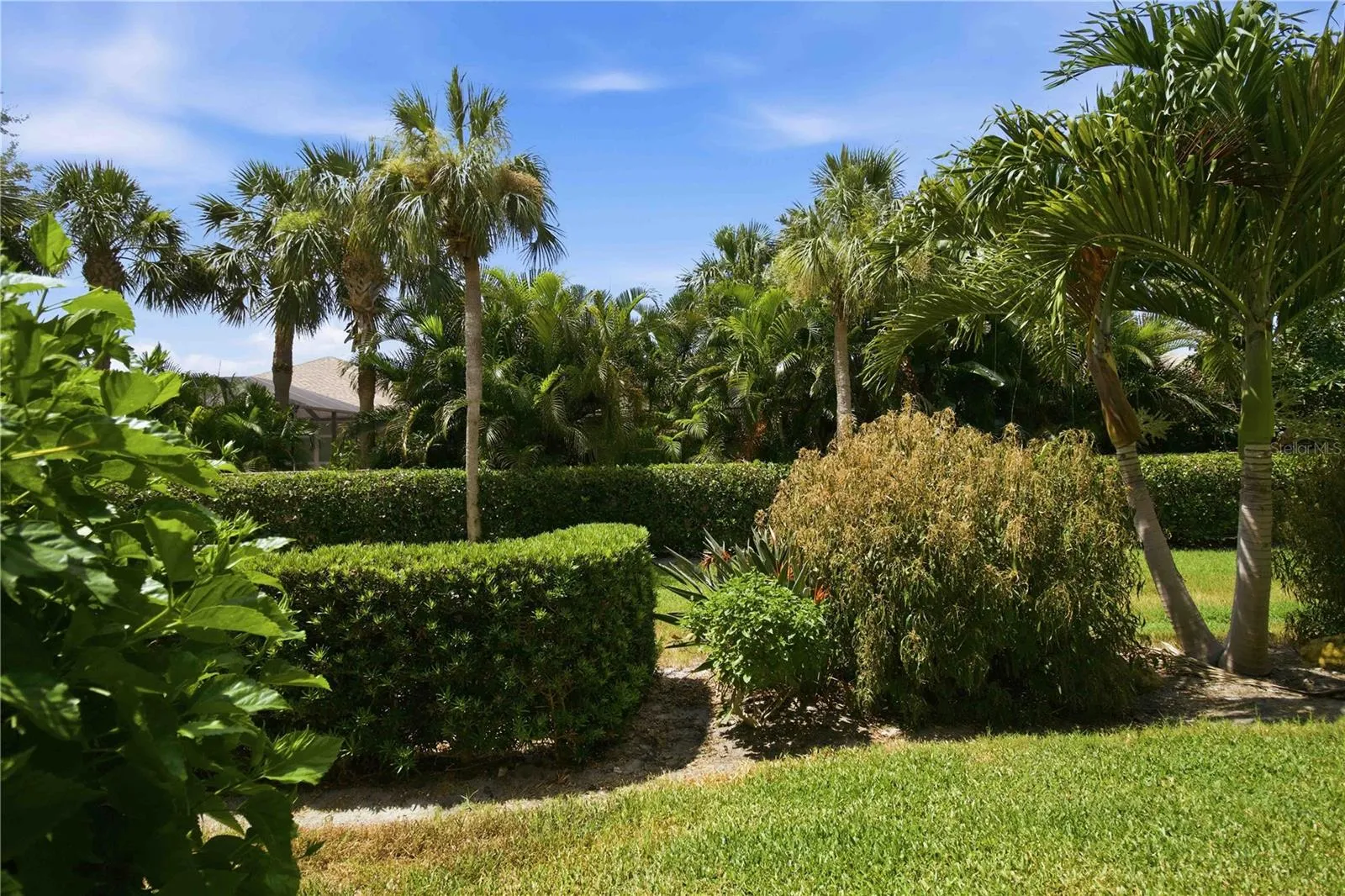 Beautiful greenspace behind condo, with tropical landscaping.