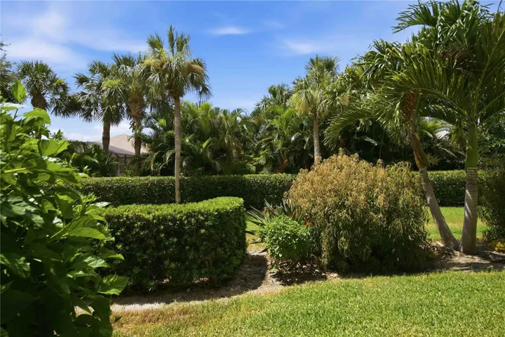 Beautiful greenspace behind condo, with tropical landscaping.