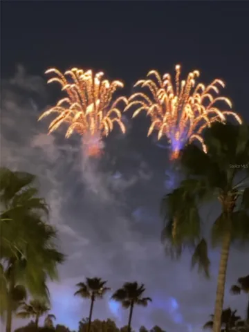 Watch the fireworks over the water