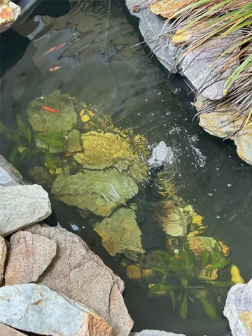 Pond in front Courtyard