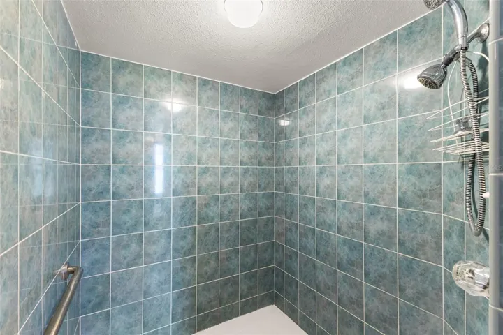 Primary ensuite step-in shower