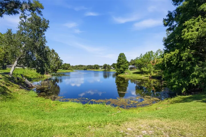 Backyard Pond