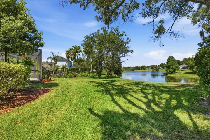 Backyard Pond