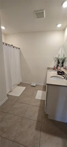 Master bathroom sink and shower area