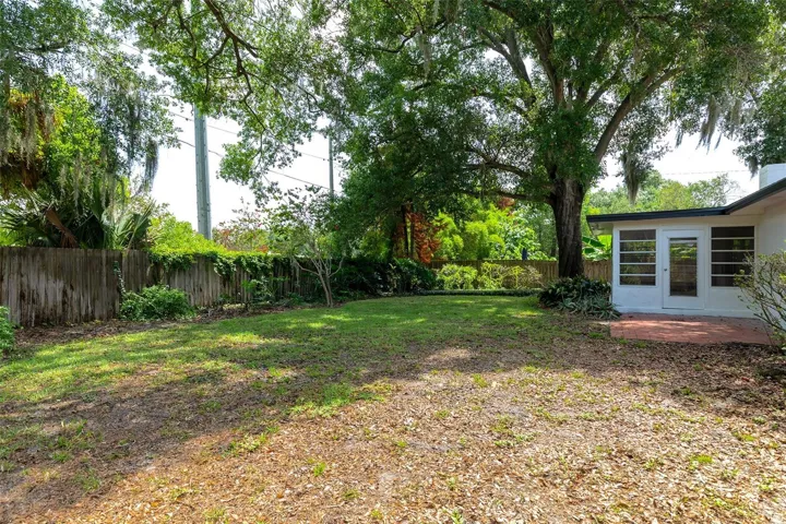 Backyard