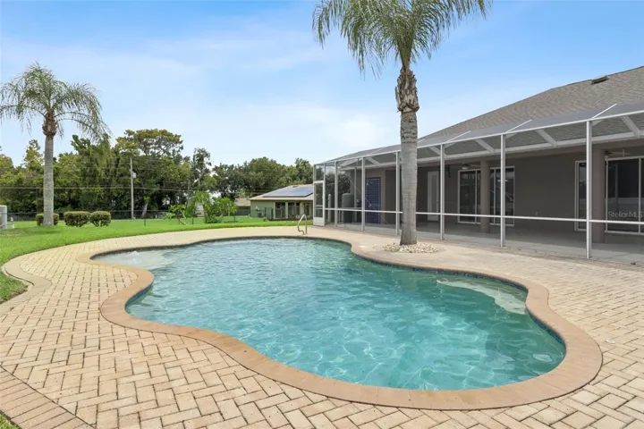 Freeform salt water pool
