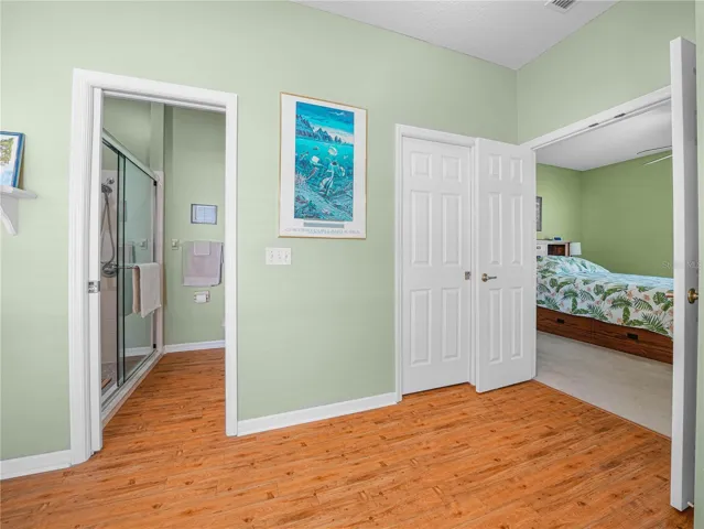 Shower Area and Walk in Closet