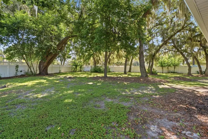 HUGE fenced-in backyard.