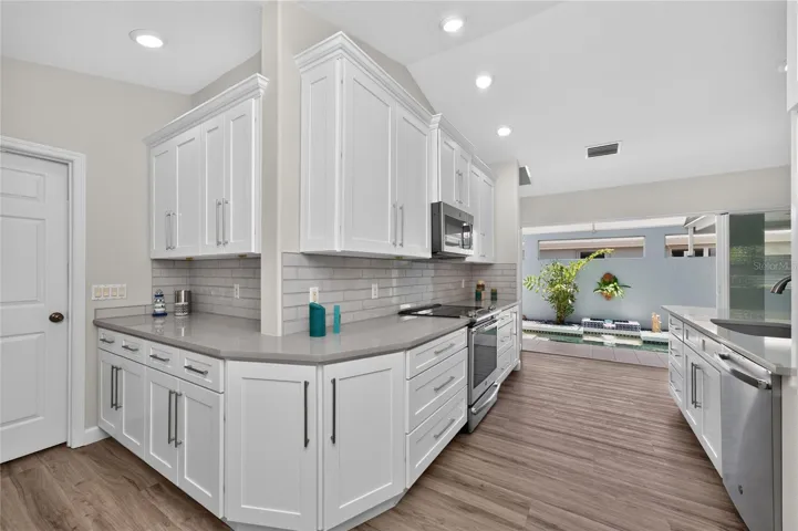 Quartz with Blanco Sink