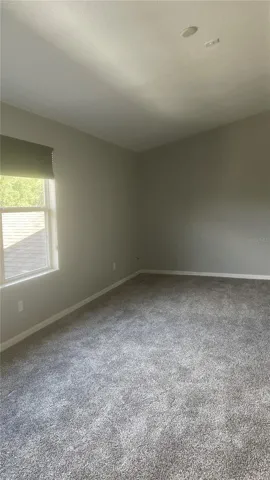 Loft dreams