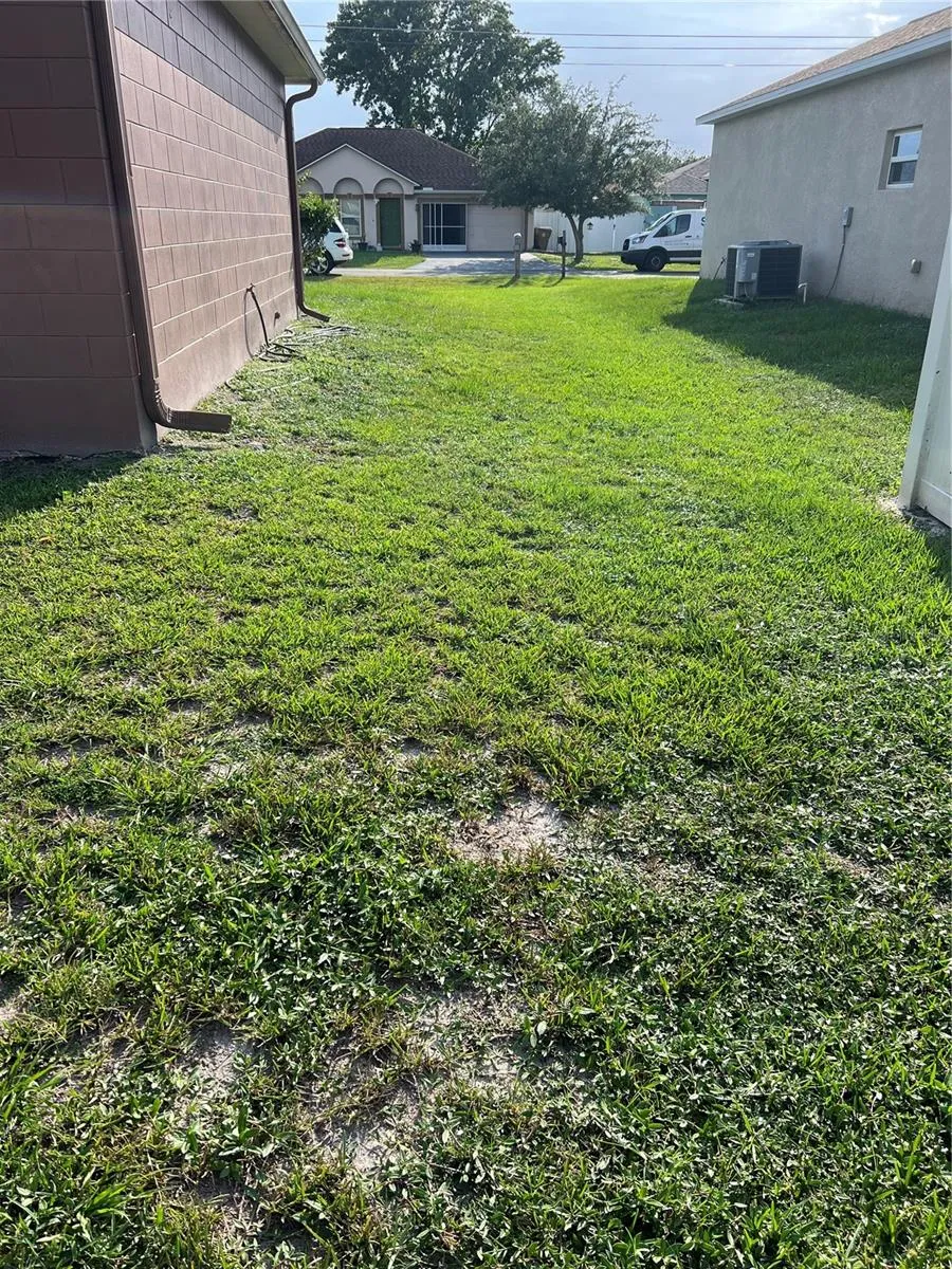 Side Yard