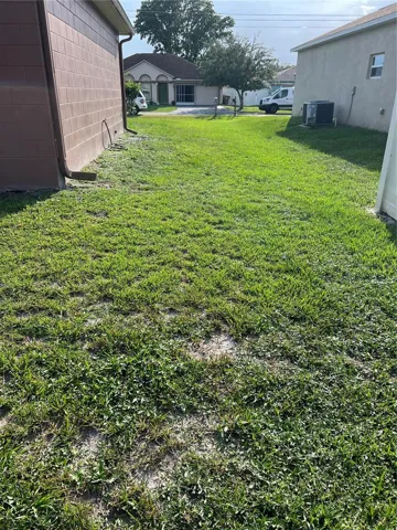 Side Yard