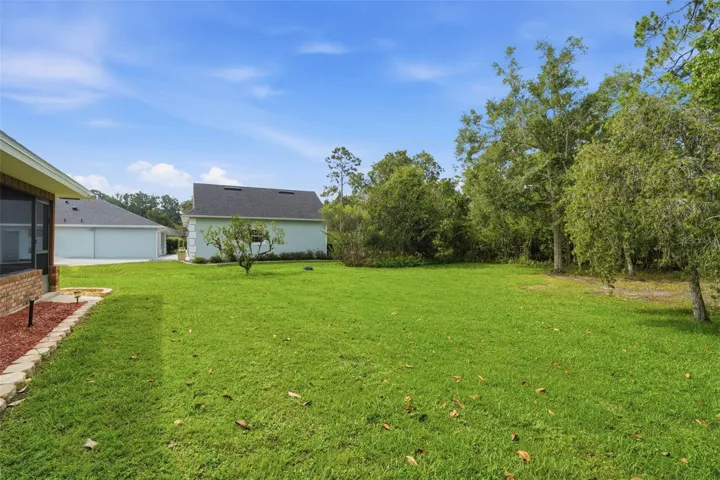 BACK YARD
