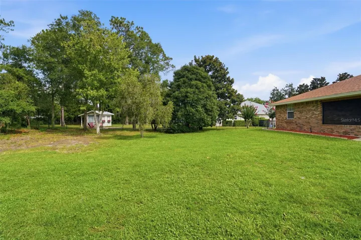 BACK YARD