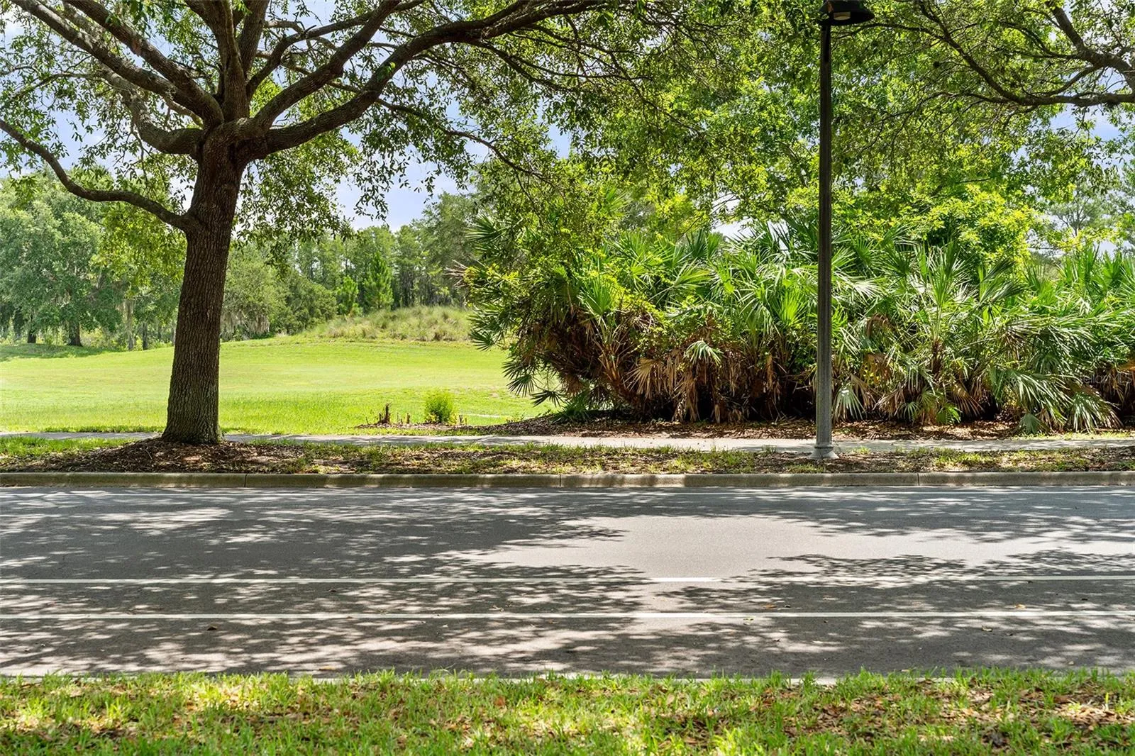Golf View