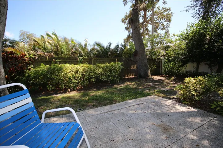 Back Patio