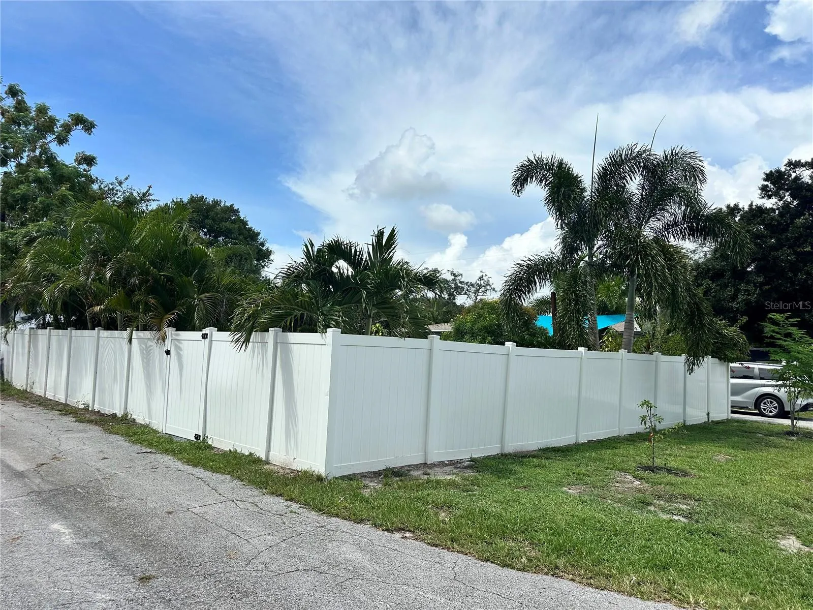 View from SE corner of property.