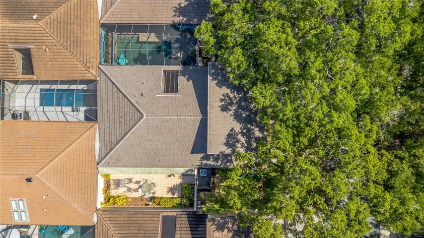 Aerial view showcasing the home and surrounding tree canopy
