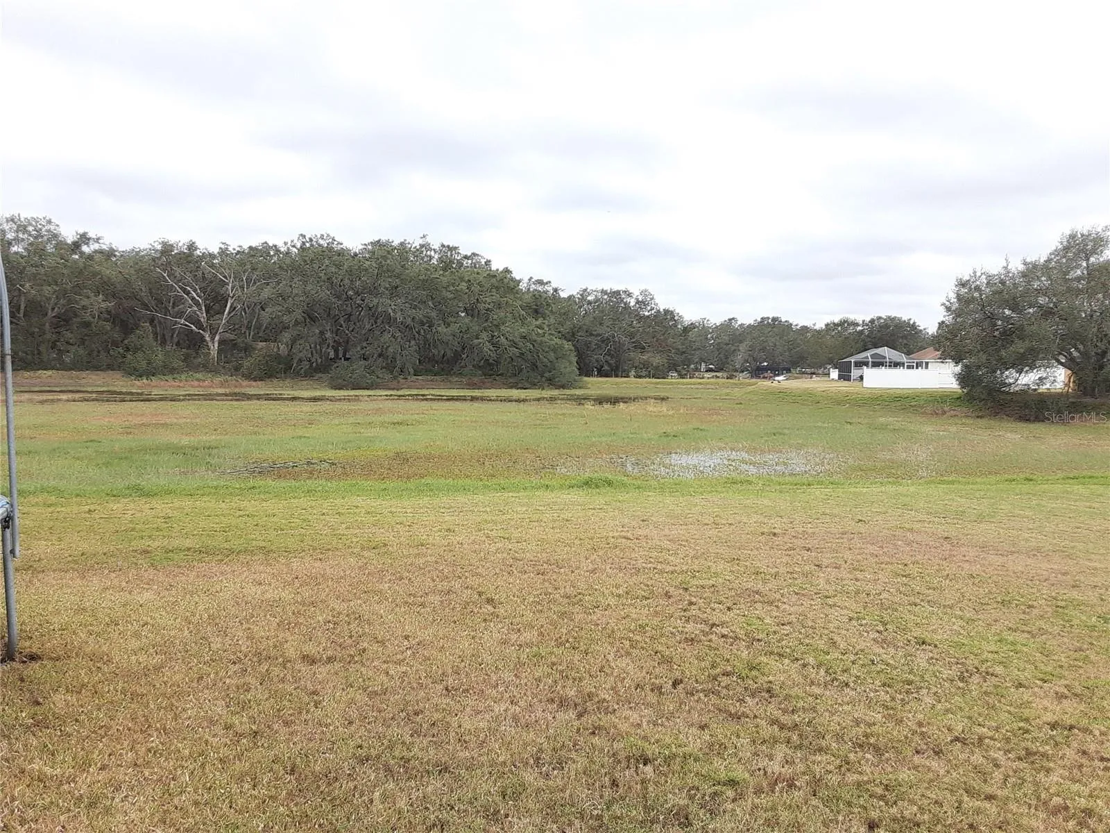 Back yard view