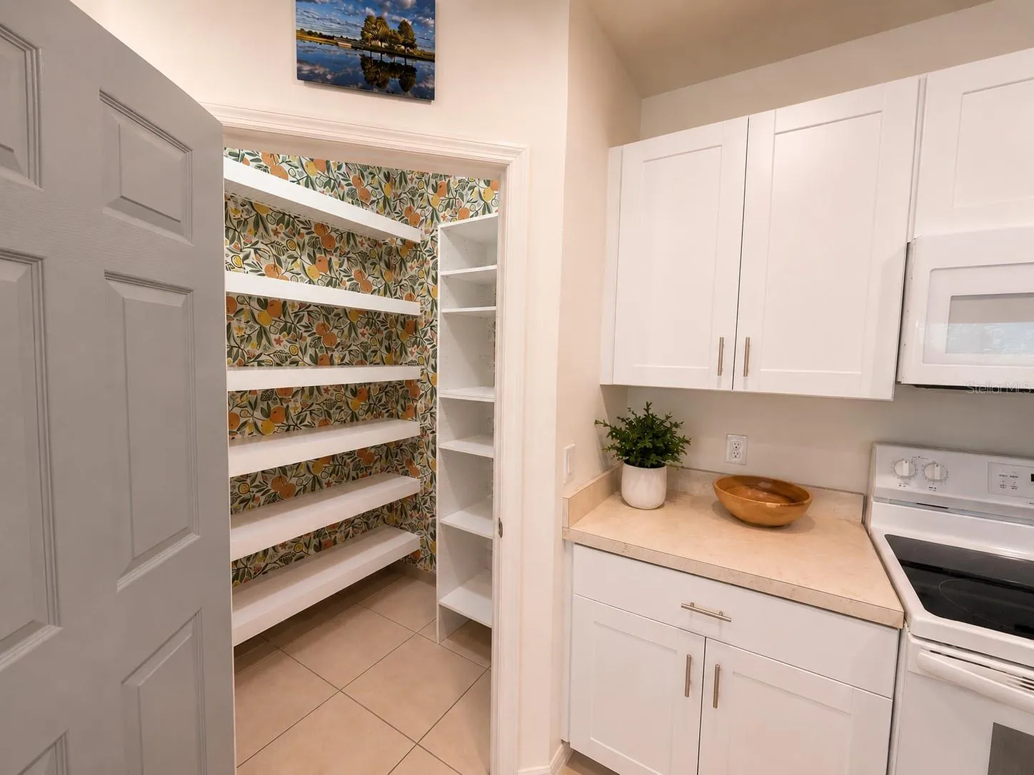 Kitchen and Pantry