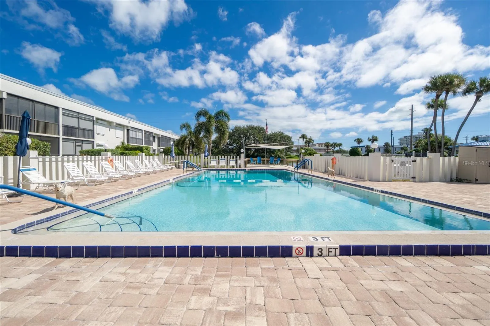 Community Pool + Paved Deck