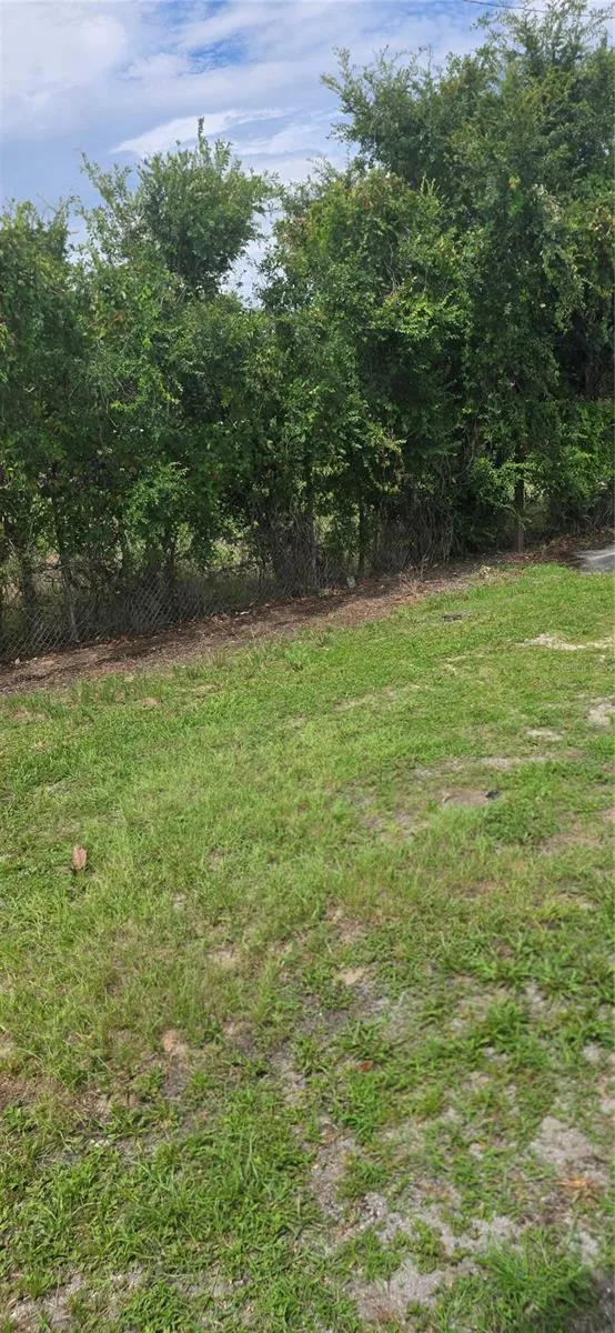 BACK YARD
