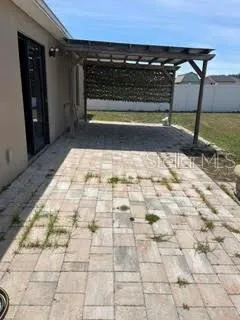 Back yard