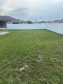 Back yard