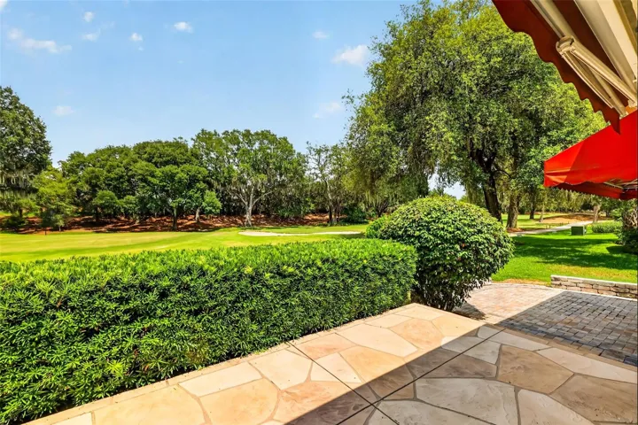 Amazing Golf Front Views!