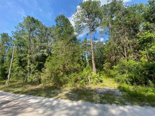 Front side of lot