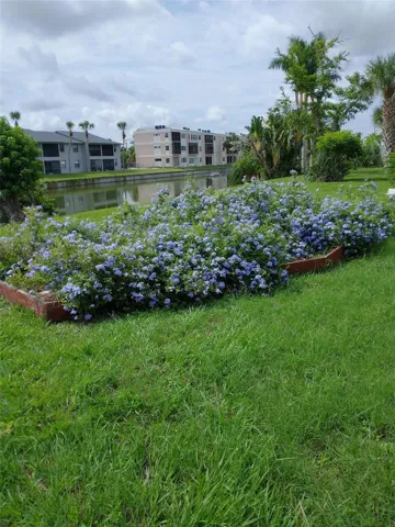 Backyard flower garden