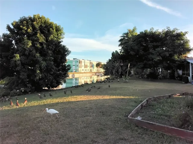 Canal view looking to the right