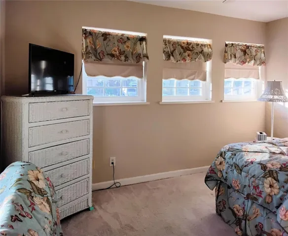 Privacy windows in second bedroom