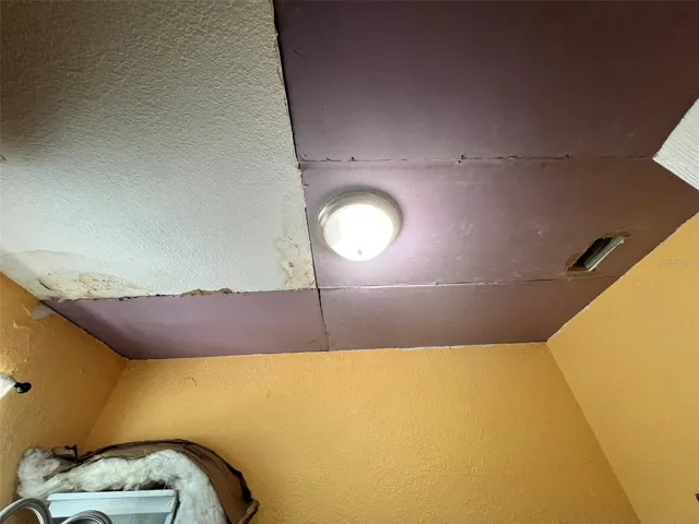 Ceiling in laundry Room