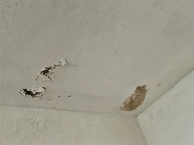Active Leak In Family Room