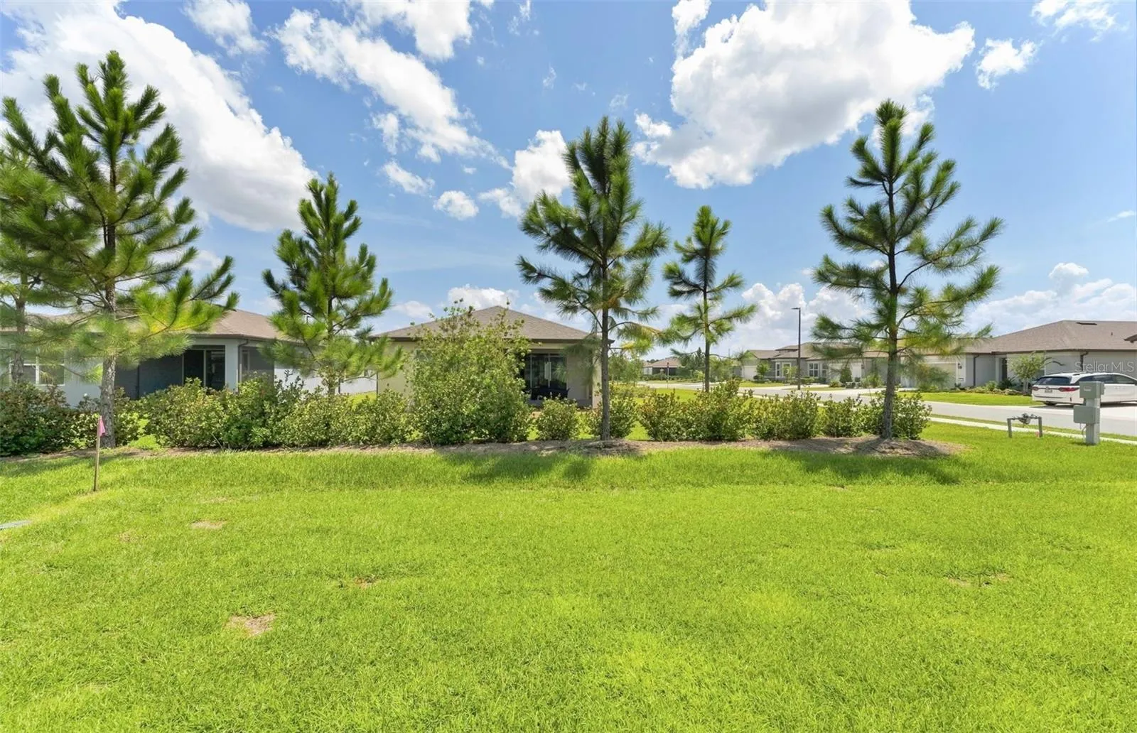 Rear Landscape Buffer