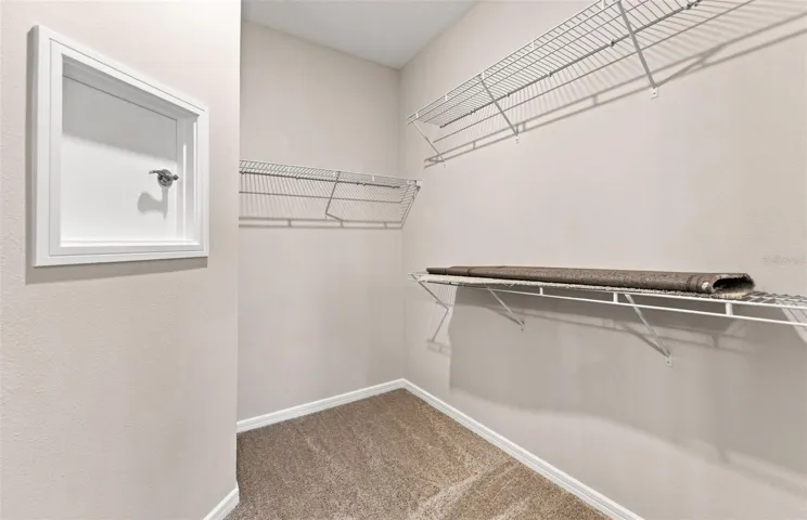 Owner's Walk-in Closet