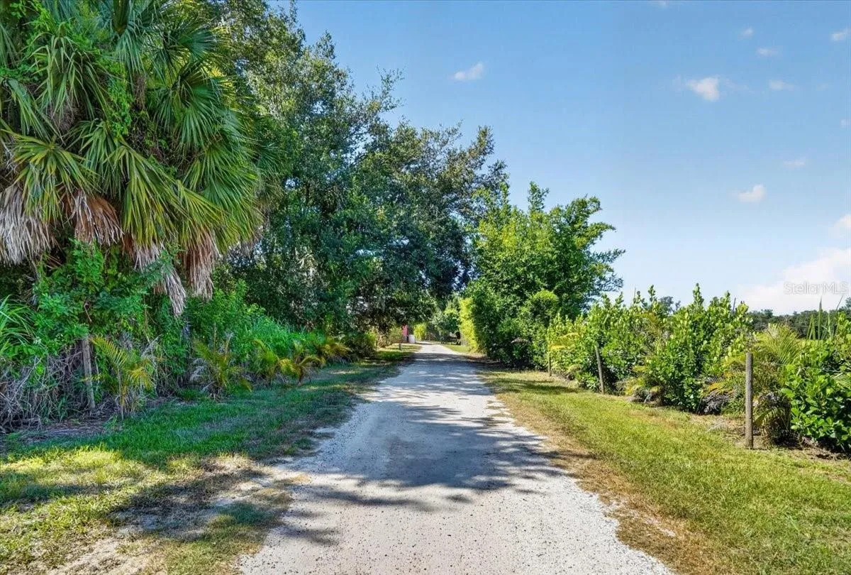 Driveway