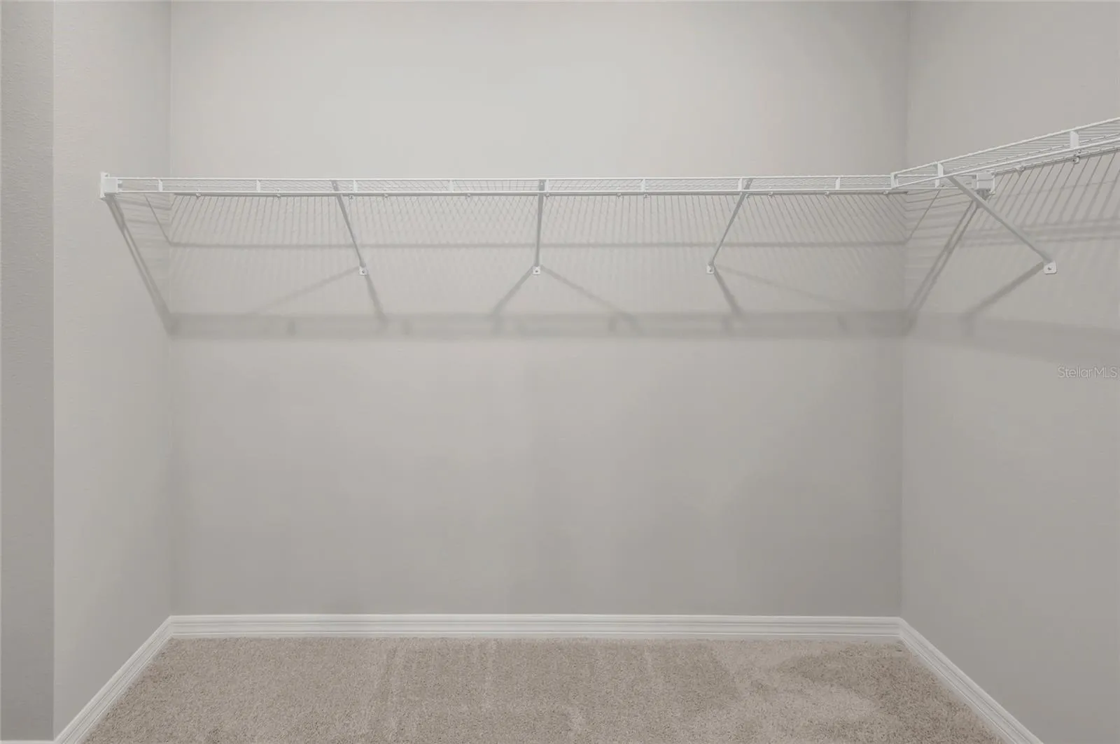 Owner's Closet